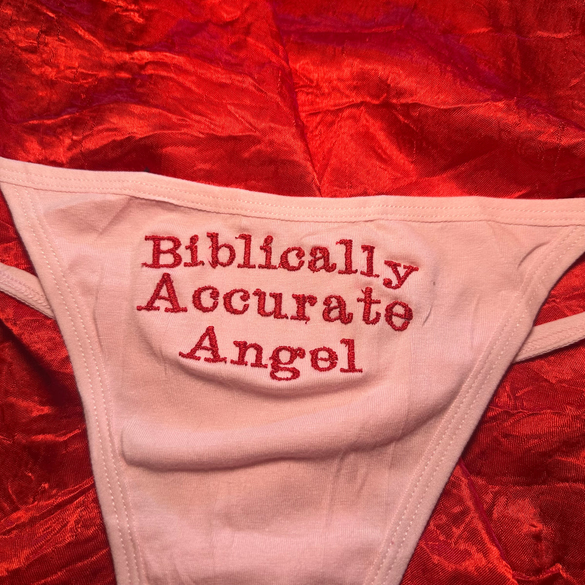 Biblically Accurate Angel (L) pink/red