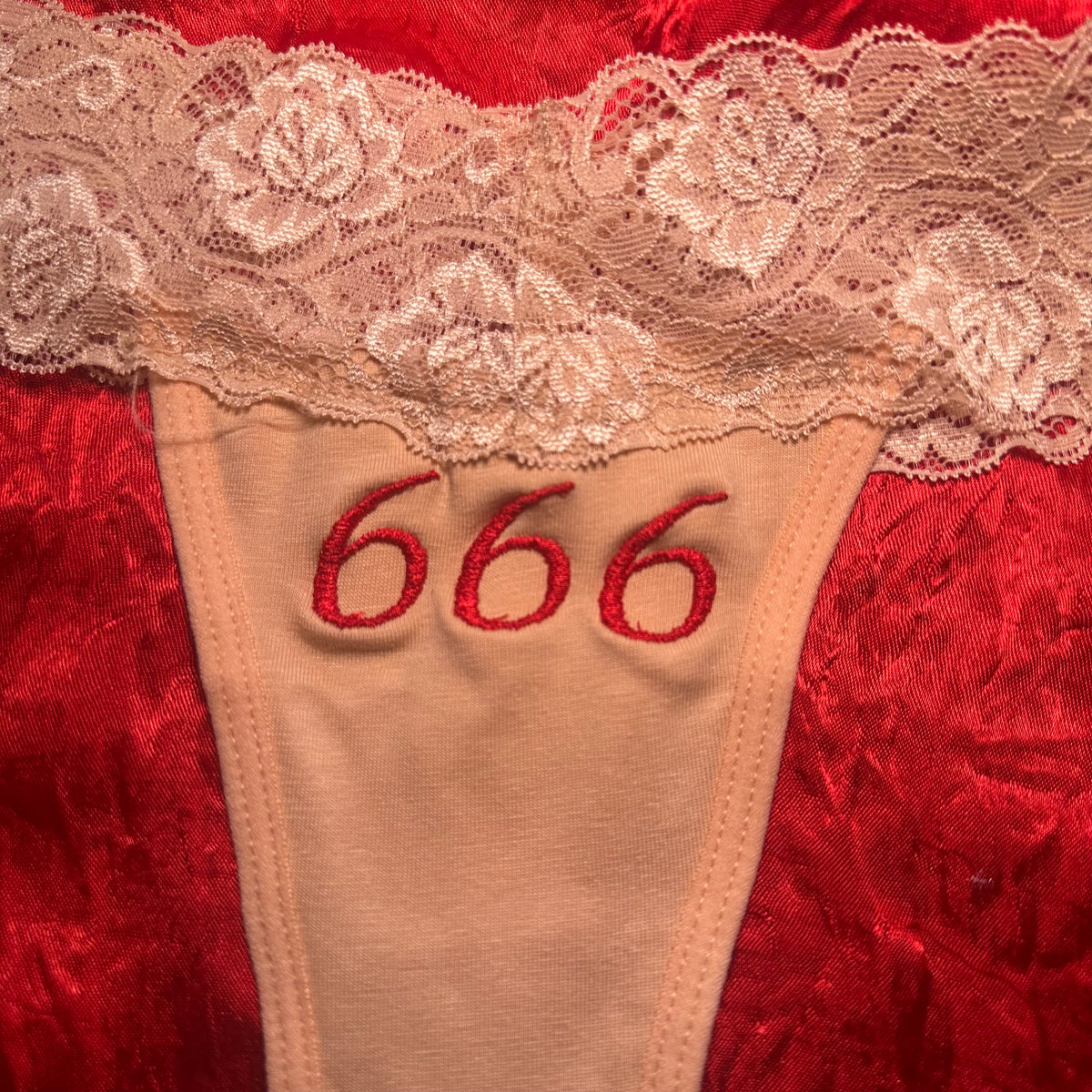 666 Lace Thong (S) beige/red