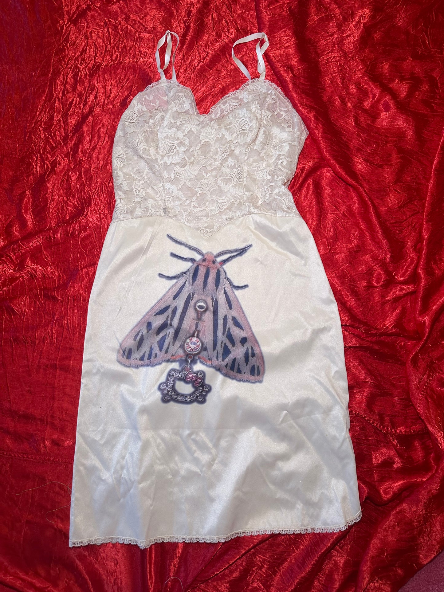 Pierced Moth Dress (S)