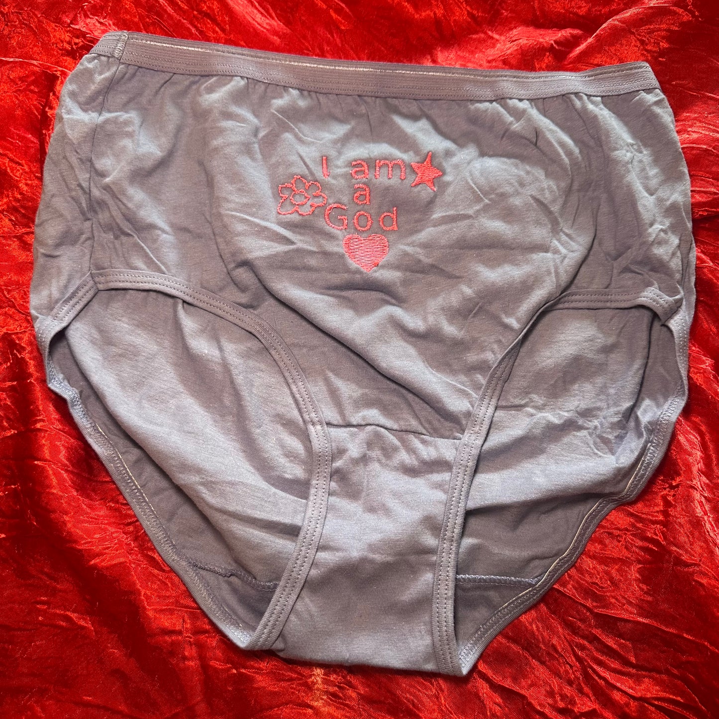 I am a god briefs (M) purple/pink