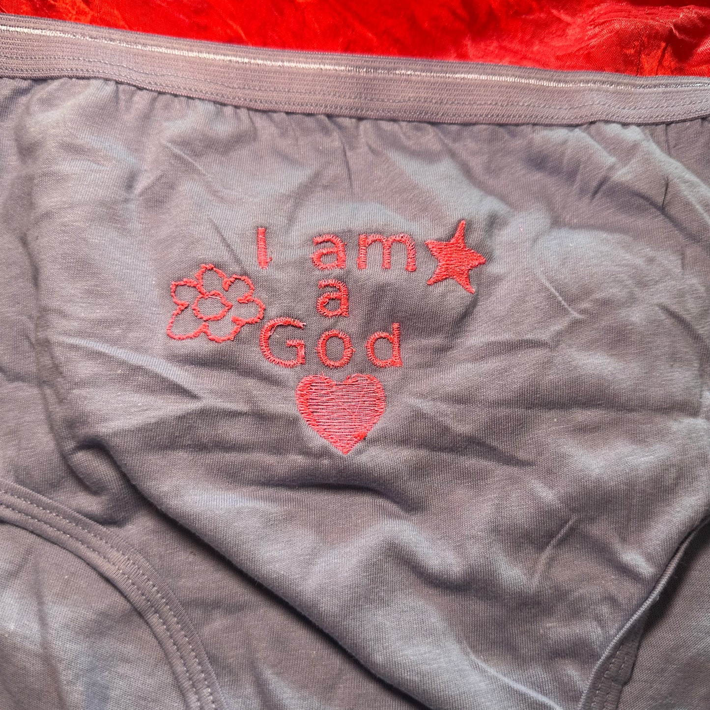 I am a god briefs (M) purple/pink