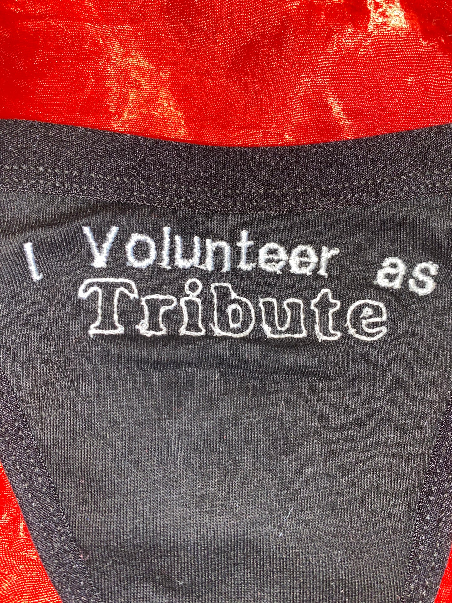 I Volunteer as Tribute Thong